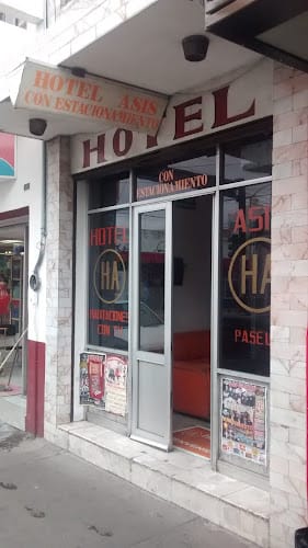 Hotel Asis