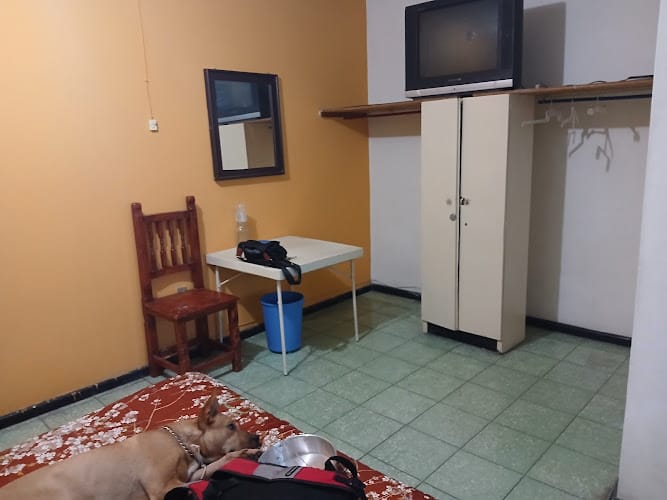 Hotel Mina Económico