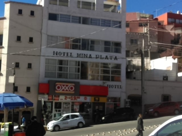 Hotel Mina Plata