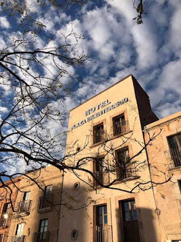 Hotel Plaza Bicentenario