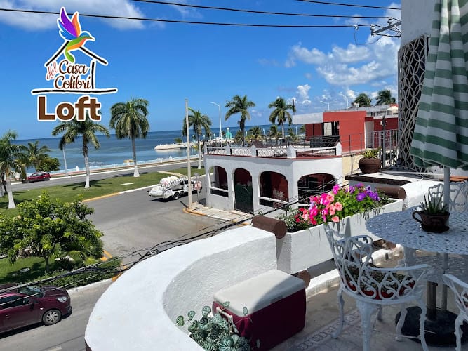 La Casa Del Colibrí