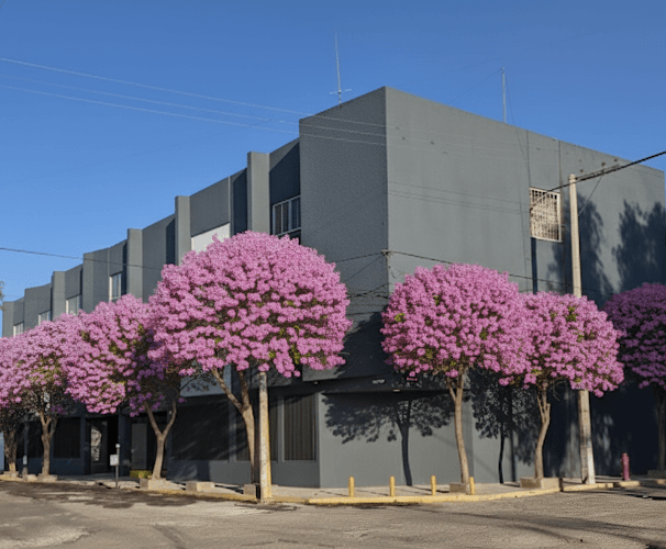 Motel Avia - Motel en Heroica Puebla De Zaragoza 1 Motel Avia