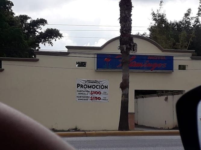 Motel Flamingos