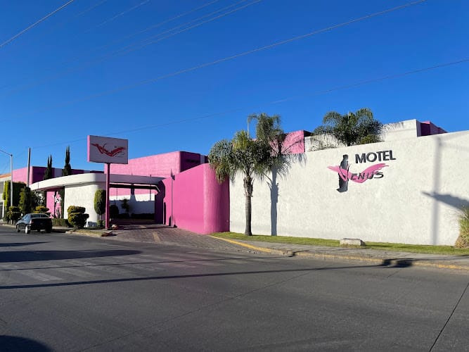 Motel Venus
